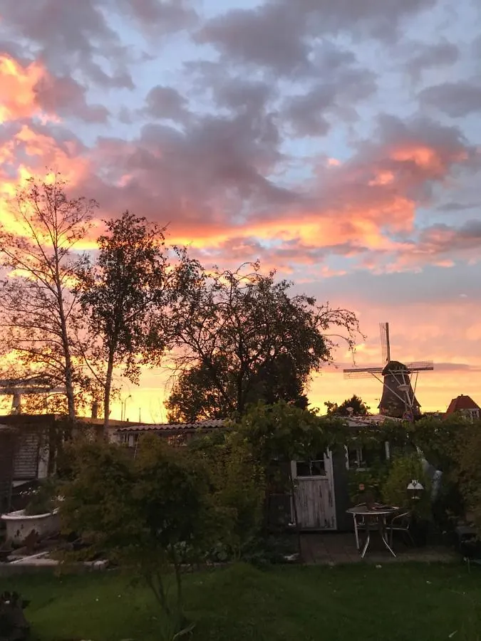 Morpheus Bed & Breakfast Amsterdam 0*,